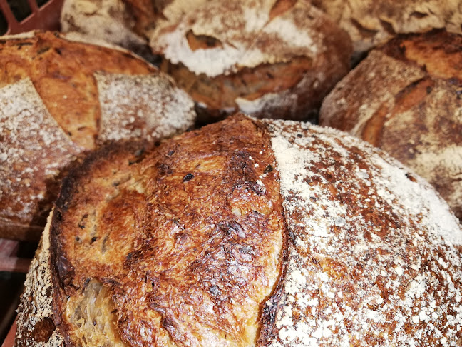 Opinii despre Donche în Paliseul - Horeca