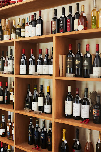 Comentarii opinii despre RVVino BV