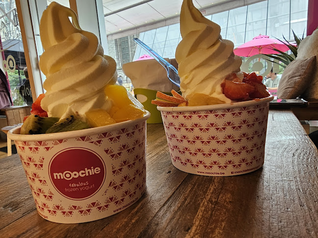 Moochie Fabulous Frozen Yogurt Gent - Horeca