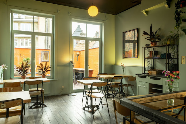 Comentarii opinii despre Paula Mostaert