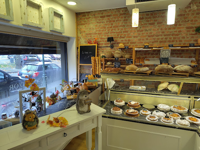 Comentarii opinii despre La Truffe d'Or