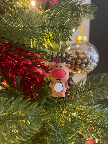 Comentarii opinii despre Le caribou