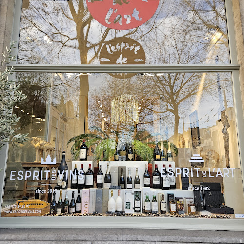 Leopold de Waelplaats 4, 2000 Antwerpen