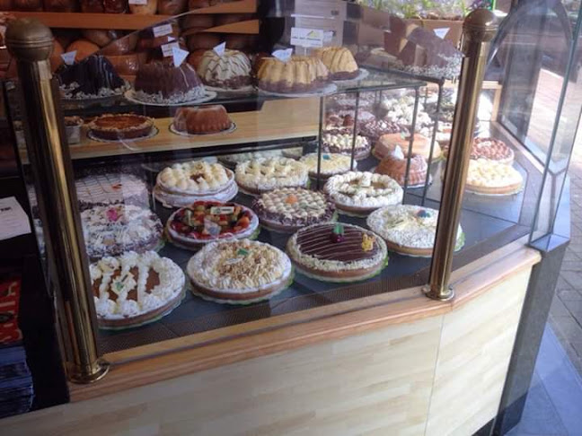 Haagstraat 9, 3650 Dilsen-Stokkem