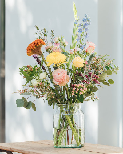 Boutique Botanique - Horeca