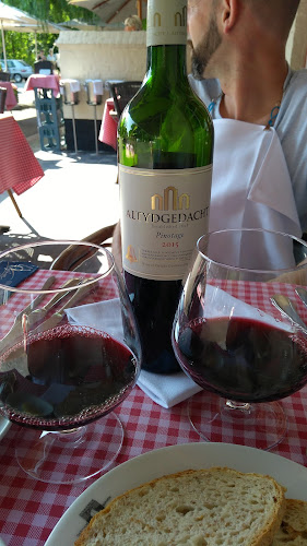 Reviews of Siphon in Damme - Horeca