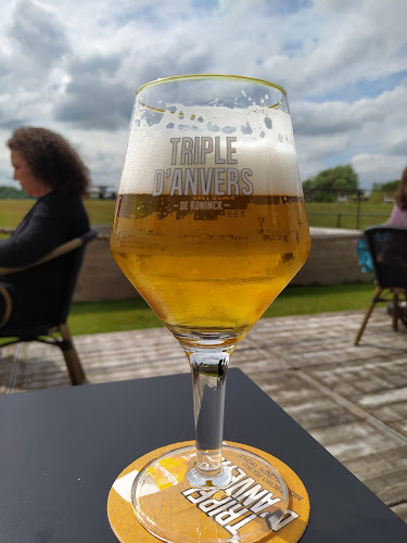 Opinii despre Steiger 3 în Antwerpen - Horeca