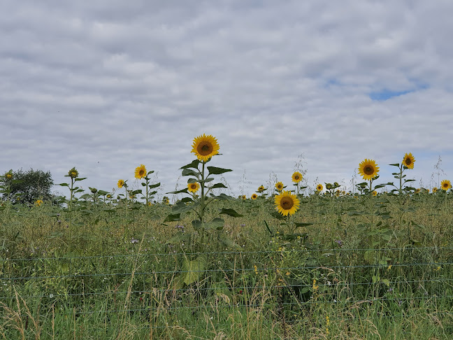le pré gourmand - Horeca