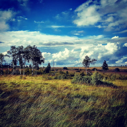 La Baraque Michel - Horeca