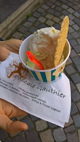 Comentarii opinii despre Roomijs Gauthier Pascale