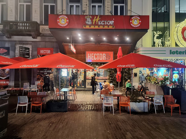 Comentarii opinii despre Hector Chicken