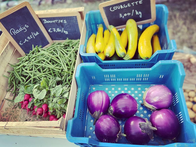 Gasthuisstraat 104, 9500 Geraardsbergen