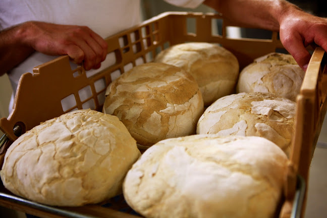 Markt 20, 9620 Zottegem