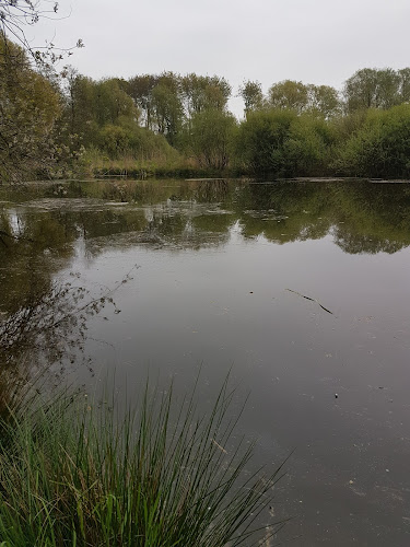 Opinii despre Vandenborre / Victor în Halle - Horeca