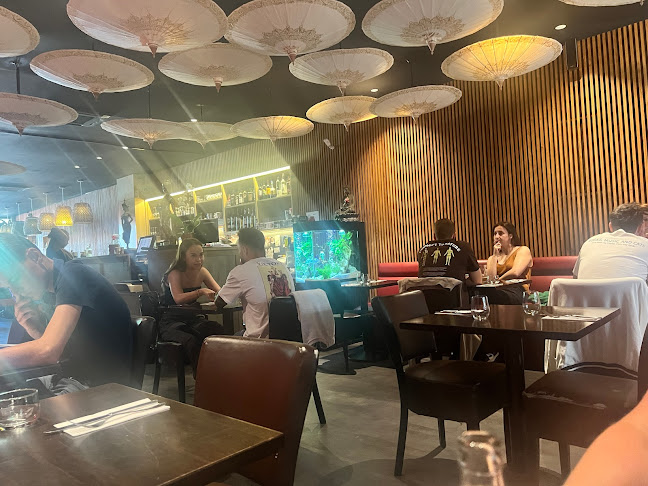 Thevy - Horeca