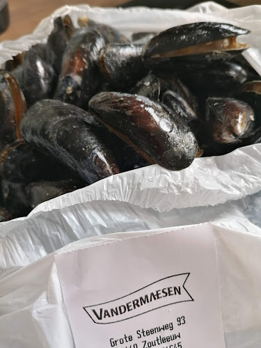 Vandermaesen - Zoutleeuw