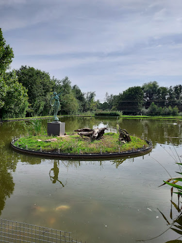 De ijsvogel - Horeca