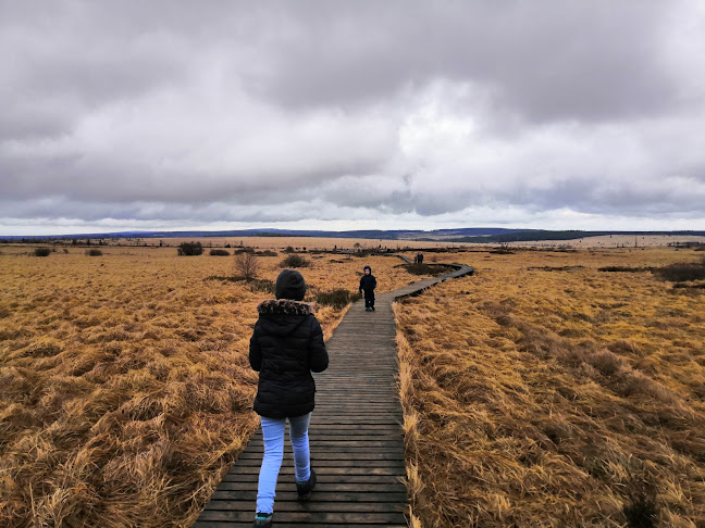 Comentarii opinii despre La Baraque Michel