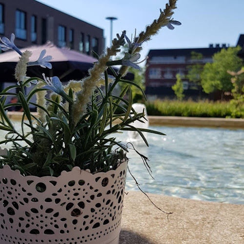 Comentarii opinii despre Brasserie De Witte