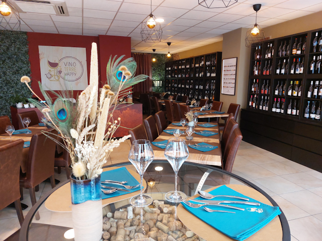 Comentarii opinii despre Vino-Terre-Happy