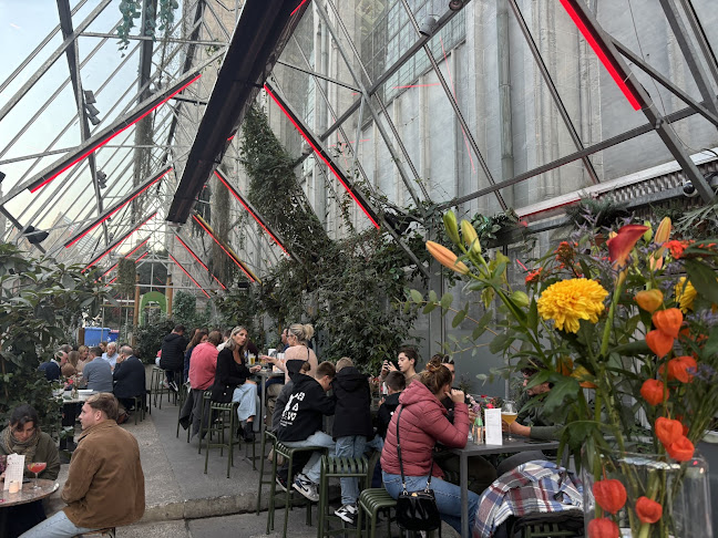 Comentarii opinii despre Ray klein turkije