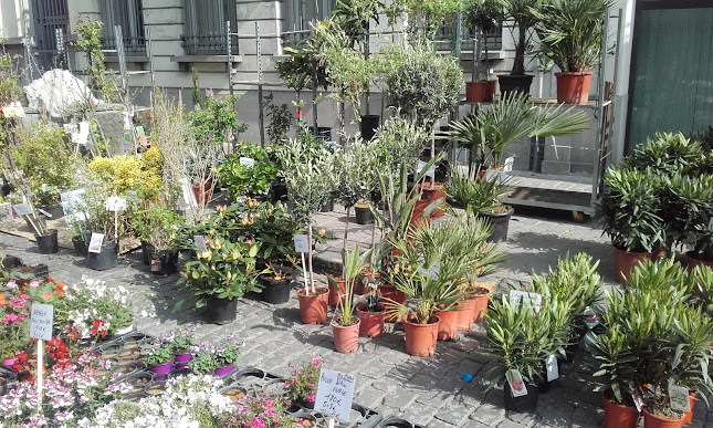 https://m.facebook.com/lesfruitsdusoleiltournai/?locale2=fr_FR