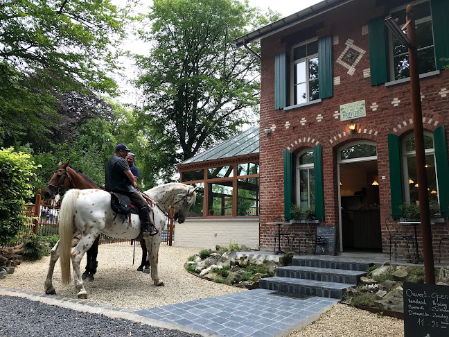 Chalet des Bruyères - Kluisbergen