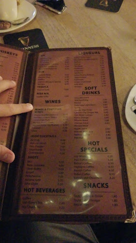 The Irish Times Pub - Horeca