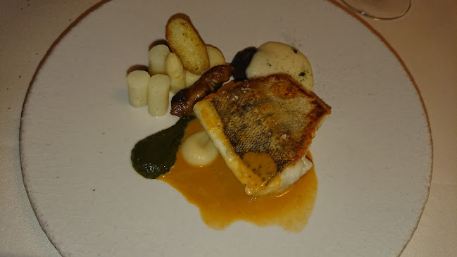 Vivendum - Dilsen-Stokkem