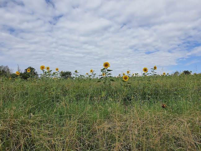 Rue de la Louve 4, 5377 Somme-Leuze