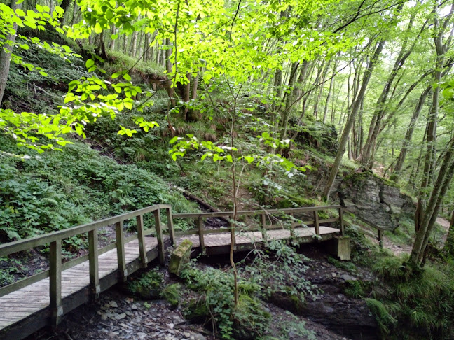 Comentarii opinii despre Taverne Du Barrage