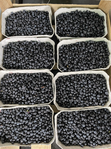 Comentarii opinii despre Chez Galip - Primeur