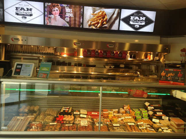 Comentarii opinii despre FritFan