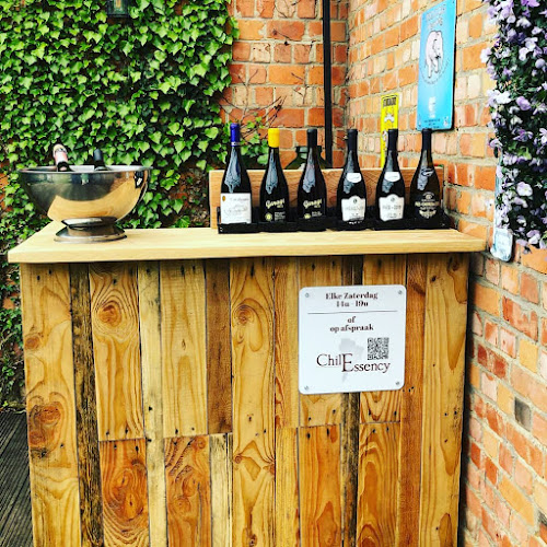 Chilessency wijnwinkel - Horeca