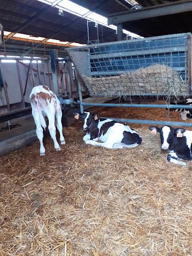 De Gentse Zuivelhoeve - Horeca