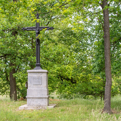 Bakkerij Luys Grote-Heide - Pelt