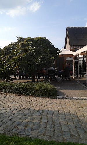 Ongelberg 14, 2490 Balen