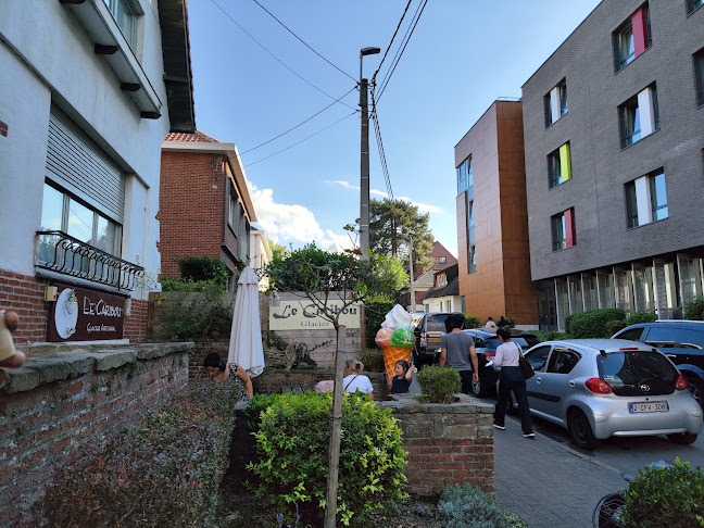 Comentarii opinii despre Le caribou