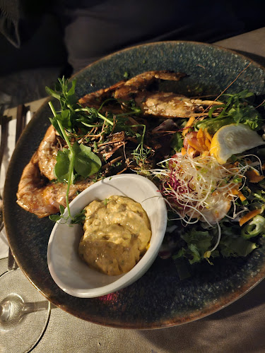 Comentarii opinii despre De Witten Vos