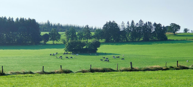 Am Hohenbusch - Horeca