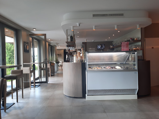 Comments and reviews of Tricolore