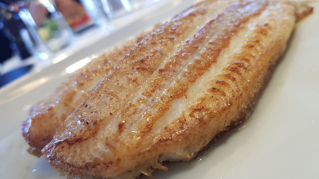 Reviews of Martin's Visrestaurant in Brugge - Horeca