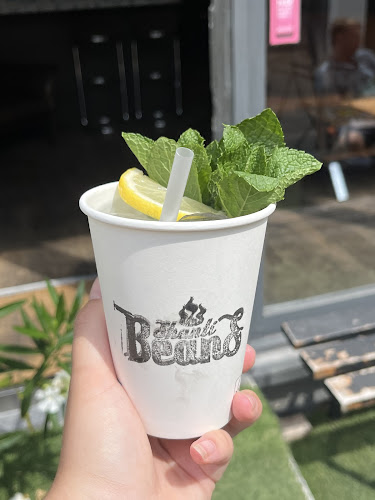 Comentarii opinii despre Shanti Beans