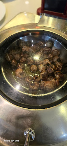 DE WERELD IS KLEIN - Jabbeke