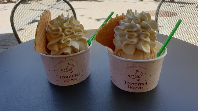 Opinii despre Trommelhoeve în Mechelen - Horeca