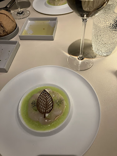 Comentarii opinii despre Vivendum