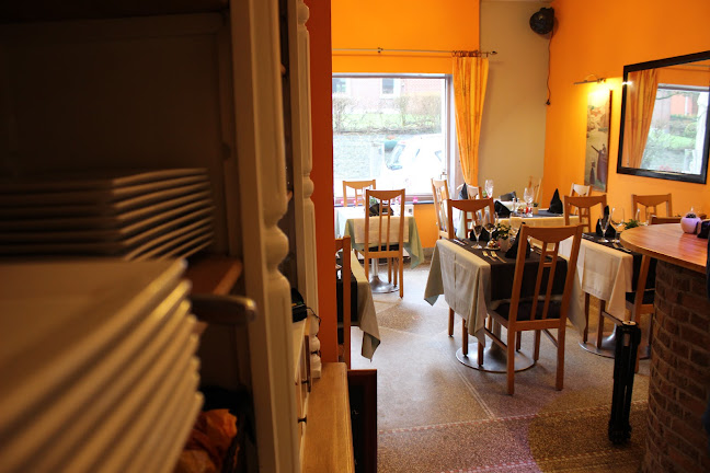 Comments and reviews of Terre de Feu