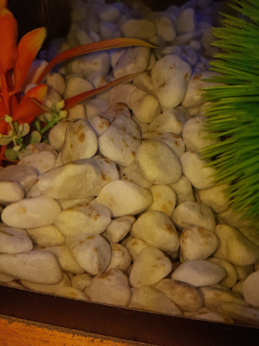 Opinii despre Den Tips în Balen - Horeca