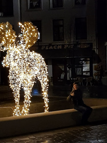 Comentarii opinii despre Peach Pit - Tienen