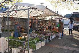 Juffertje in 't groen